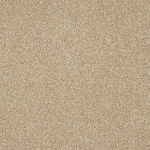 Knightsbridge Berber Wheat Mist Carpet - Wheat Mist / 2.5m