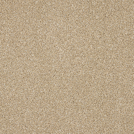 Knightsbridge Berber Wheat Mist Carpet - Wheat Mist / 2.5m