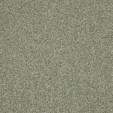 Knightsbridge Berber Laurel Carpet - Laurel / 2.5m