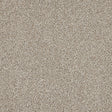 Knightsbridge Berber Riverrock Carpet - Riverrock / 2.5m