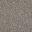 Knightsbridge Berber Pumice Blend Carpet - Pumice Blend / 2.5m