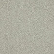 Knightsbridge Berber Dusty Fossil Carpet - Dusty Fossil / 2.5m