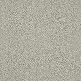 Knightsbridge Berber Dusty Fossil Carpet - Dusty Fossil / 2.5m