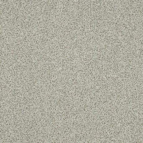 Knightsbridge Berber Dusty Fossil Carpet - Dusty Fossil / 2.5m
