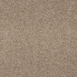 Seduction Cashmere Carpet - Cashmere / 2.5m