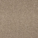 Seduction Cashmere Carpet - Cashmere / 2.5m