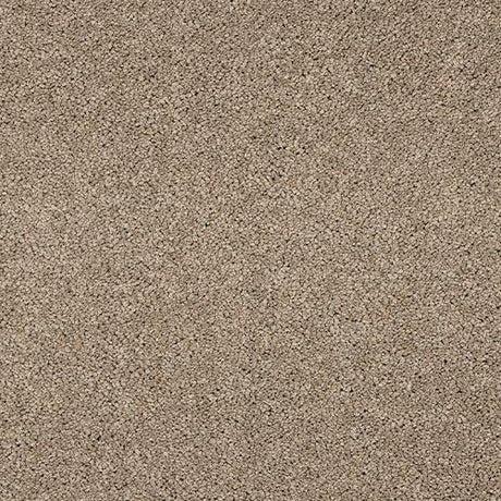 Seduction Cashmere Carpet - Cashmere / 2.5m