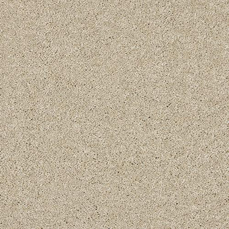 Seduction Dust Carpet - Dust / 2.5m