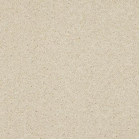 Seduction Candlelight Carpet - Candlelight / 2.5m