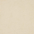 Seduction Bone Carpet - Bone / 2.5m