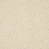 Seduction Bone Carpet - Bone / 2.5m