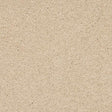 Seduction Stonewashed Linen Carpet - Stonewashed Linen / 2.5m