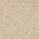 Seduction Stonewashed Linen Carpet - Stonewashed Linen / 2.5m
