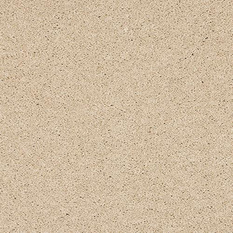 Seduction Stonewashed Linen Carpet - Stonewashed Linen / 2.5m