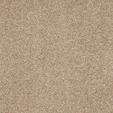 Seduction Mouseback Carpet - Mouseback / 2.5m