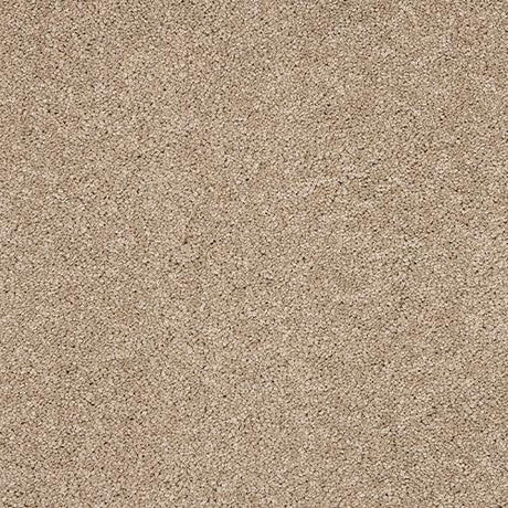 Seduction Mouseback Carpet - Mouseback / 2.5m