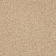 Seduction Soft Buff Carpet - Soft Buff / 2.5m