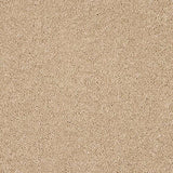 Seduction Soft Buff Carpet - Soft Buff / 2.5m