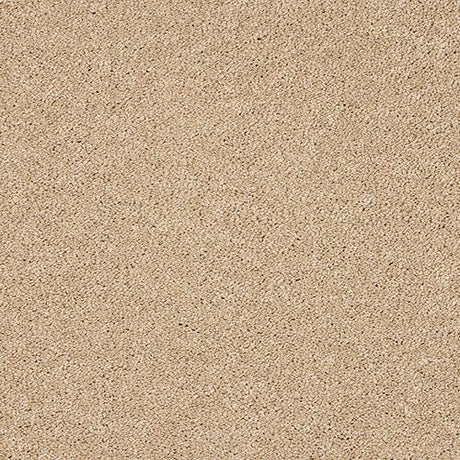 Seduction Soft Buff Carpet - Soft Buff / 2.5m