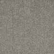 Seduction Charlestone Carpet - Charlestone / 2.5m