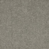 Seduction Charlestone Carpet - Charlestone / 2.5m