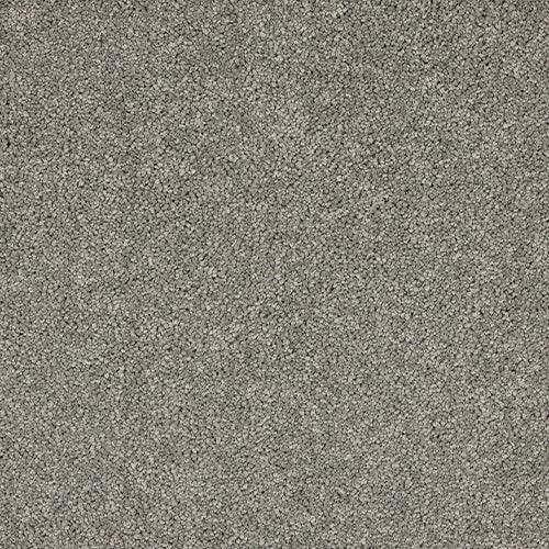 Seduction Charlestone Carpet - Charlestone / 2.5m