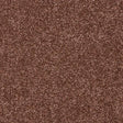 Seduction Autumn Ember Carpet - Autumn Ember / 2.5m