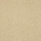 Seduction Double Cream Carpet - Double Cream / 2.5m
