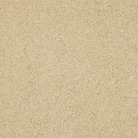 Seduction Double Cream Carpet - Double Cream / 2.5m
