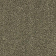 Seduction Dusty Fern Carpet - Dusty Fern / 2.5m