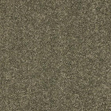 Seduction Dusty Fern Carpet - Dusty Fern / 2.5m