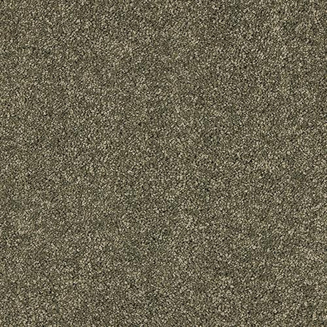 Seduction Dusty Fern Carpet - Dusty Fern / 2.5m