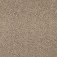 Velvet Dreams Cashmere Carpet - Cashmere / 2.5m