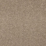 Velvet Dreams Cashmere Carpet - Cashmere / 2.5m