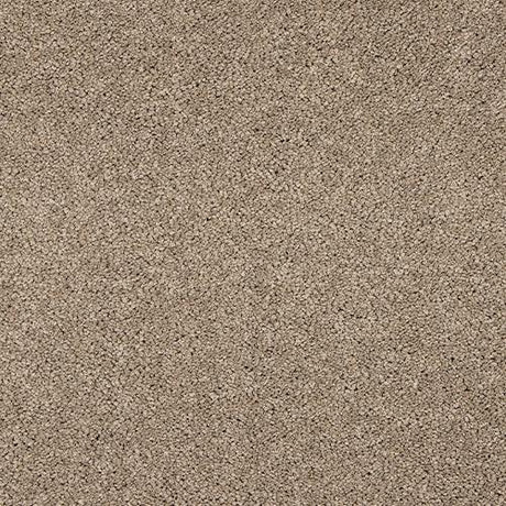 Velvet Dreams Cashmere Carpet - Cashmere / 2.5m