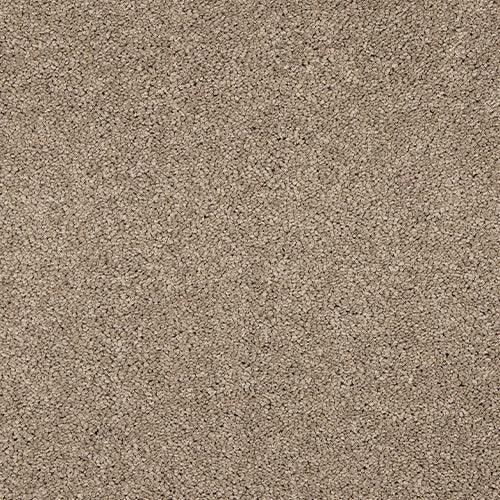 Velvet Dreams Cashmere Carpet - Cashmere / 2.5m