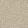 Velvet Dreams Dust Carpet - Dust / 2.5m