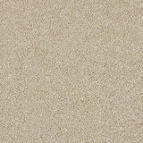 Velvet Dreams Dust Carpet - Dust / 2.5m