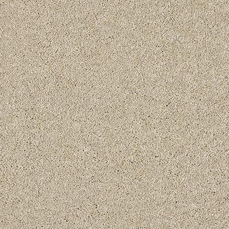 Velvet Dreams Dust Carpet - Dust / 2.5m