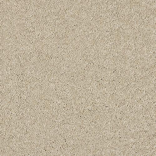 Velvet Dreams Dust Carpet - Dust / 2.5m