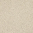 Velvet Dreams Candelight Carpet - Candelight / 2.5m