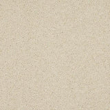 Velvet Dreams Candelight Carpet - Candelight / 2.5m