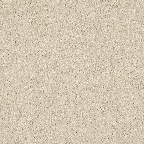 Velvet Dreams Candelight Carpet - Candelight / 2.5m