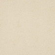 Velvet Dreams Bone Carpet - Bone / 2.5m