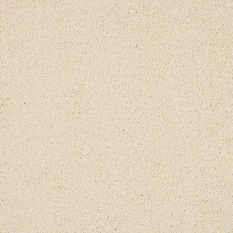 Velvet Dreams Bone Carpet - Bone / 2.5m