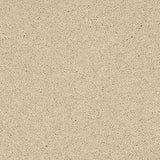 Velvet Dreams Stonewash Linen Carpet - Stonewash Linen / 2.5m