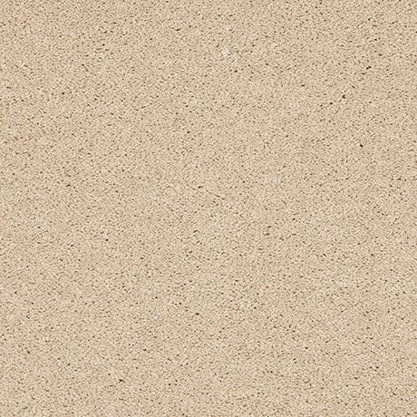Velvet Dreams Stonewash Linen Carpet - Stonewash Linen / 2.5m