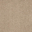 Velvet Dreams Mouseback Carpet - Mouseback / 2.5m