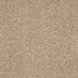 Velvet Dreams Mouseback Carpet - Mouseback / 2.5m