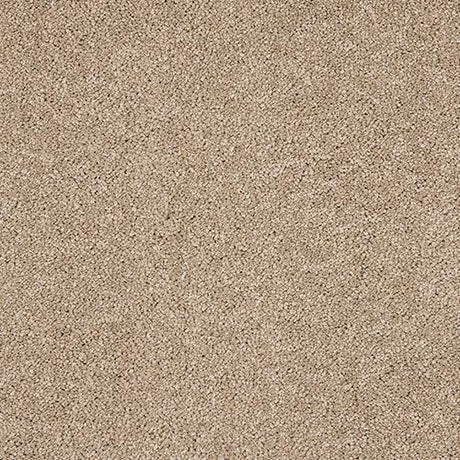 Velvet Dreams Mouseback Carpet - Mouseback / 2.5m